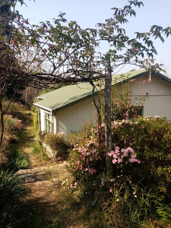 3 Bedroom Property for Sale in Hogsback Eastern Cape